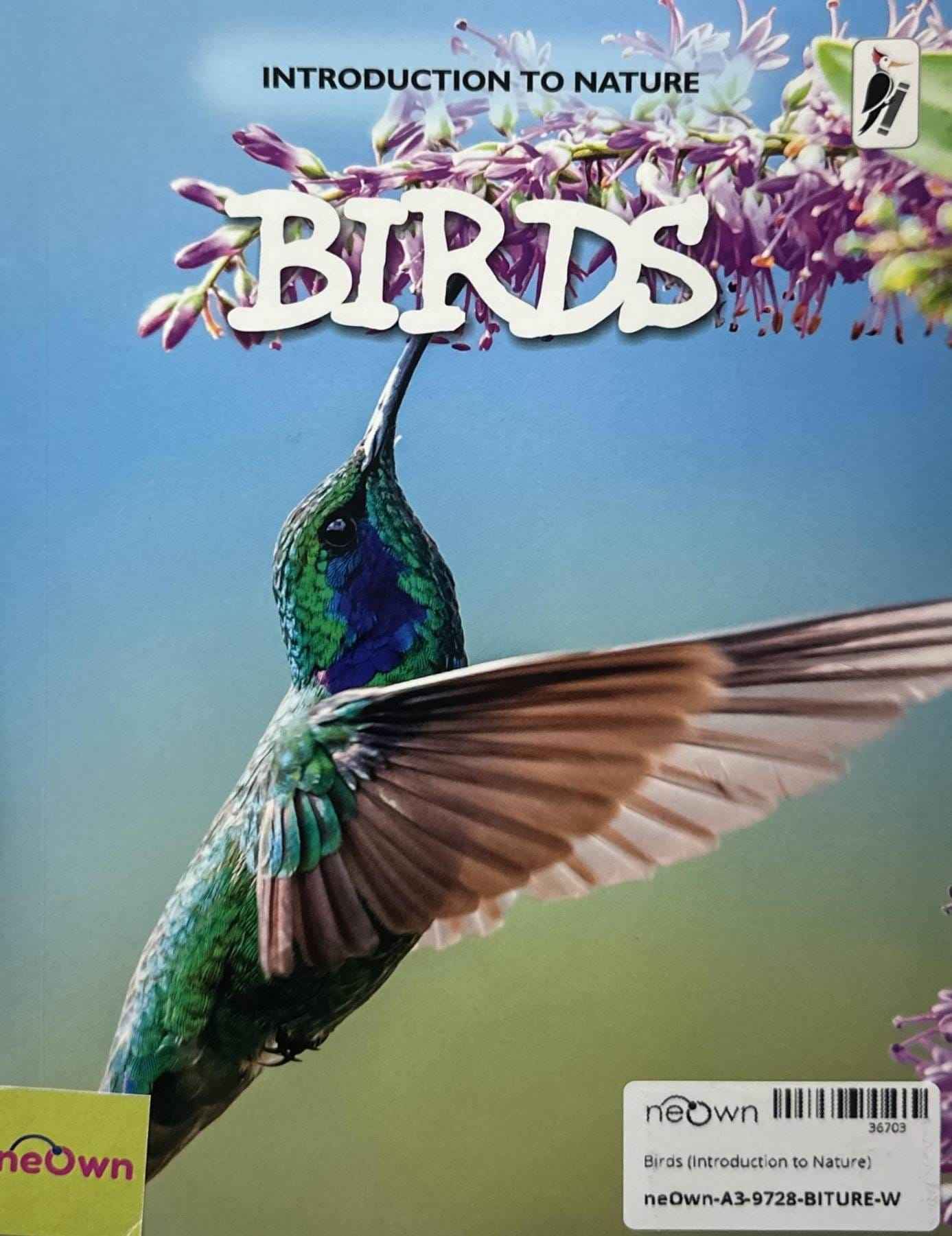 Birds (Introduction to Nature)