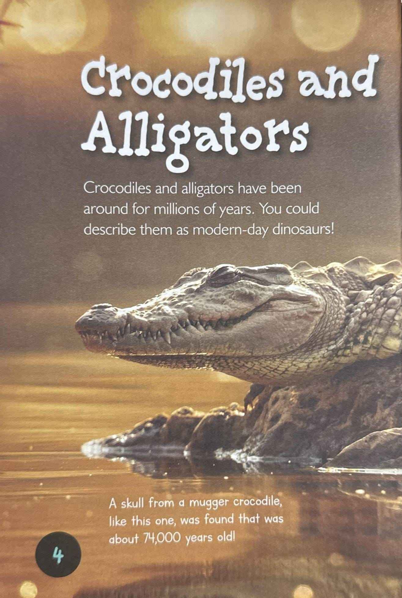 Crocodiles and Alligators (Introduction to Nature)