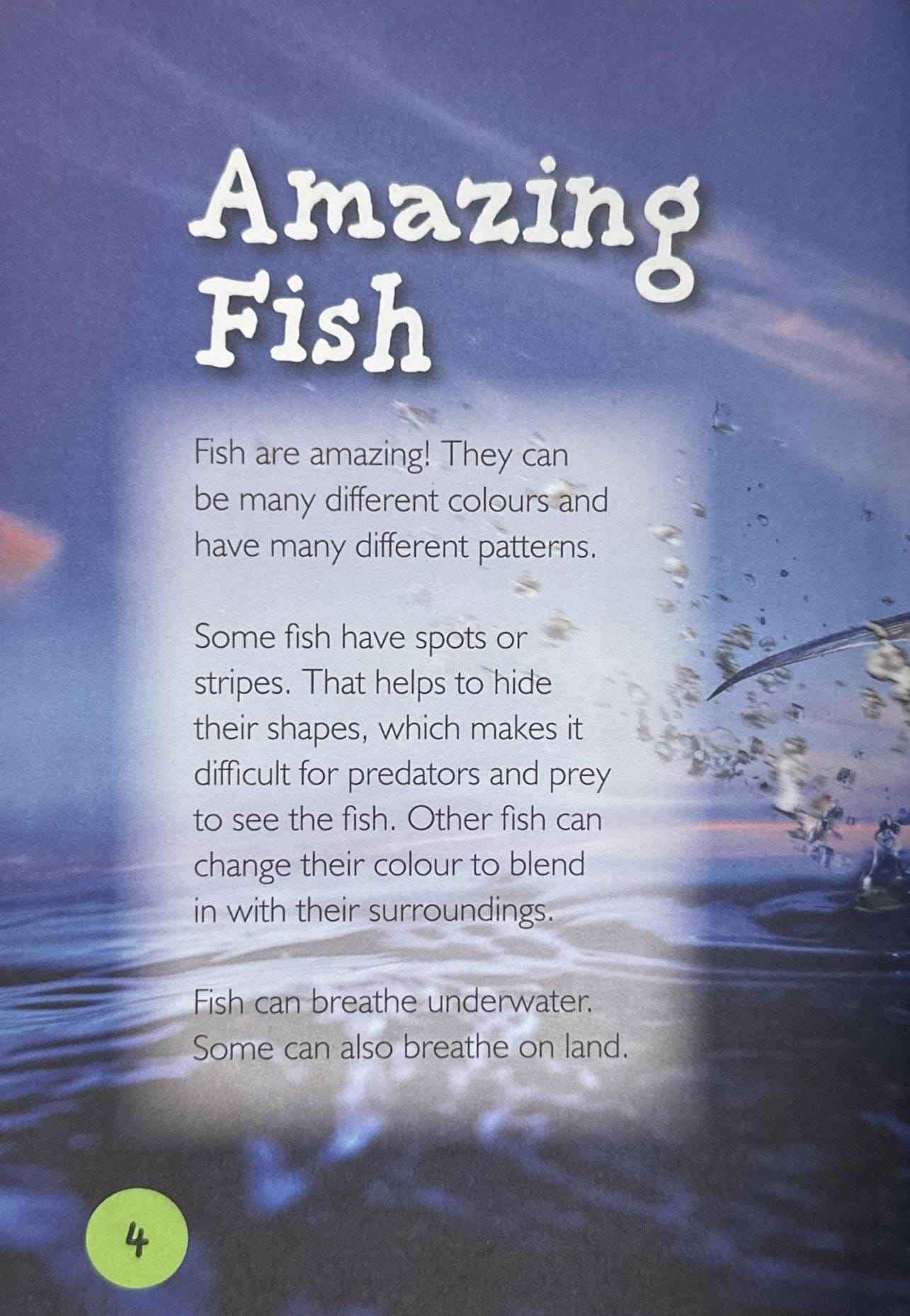 Fish (Introduction to Nature)