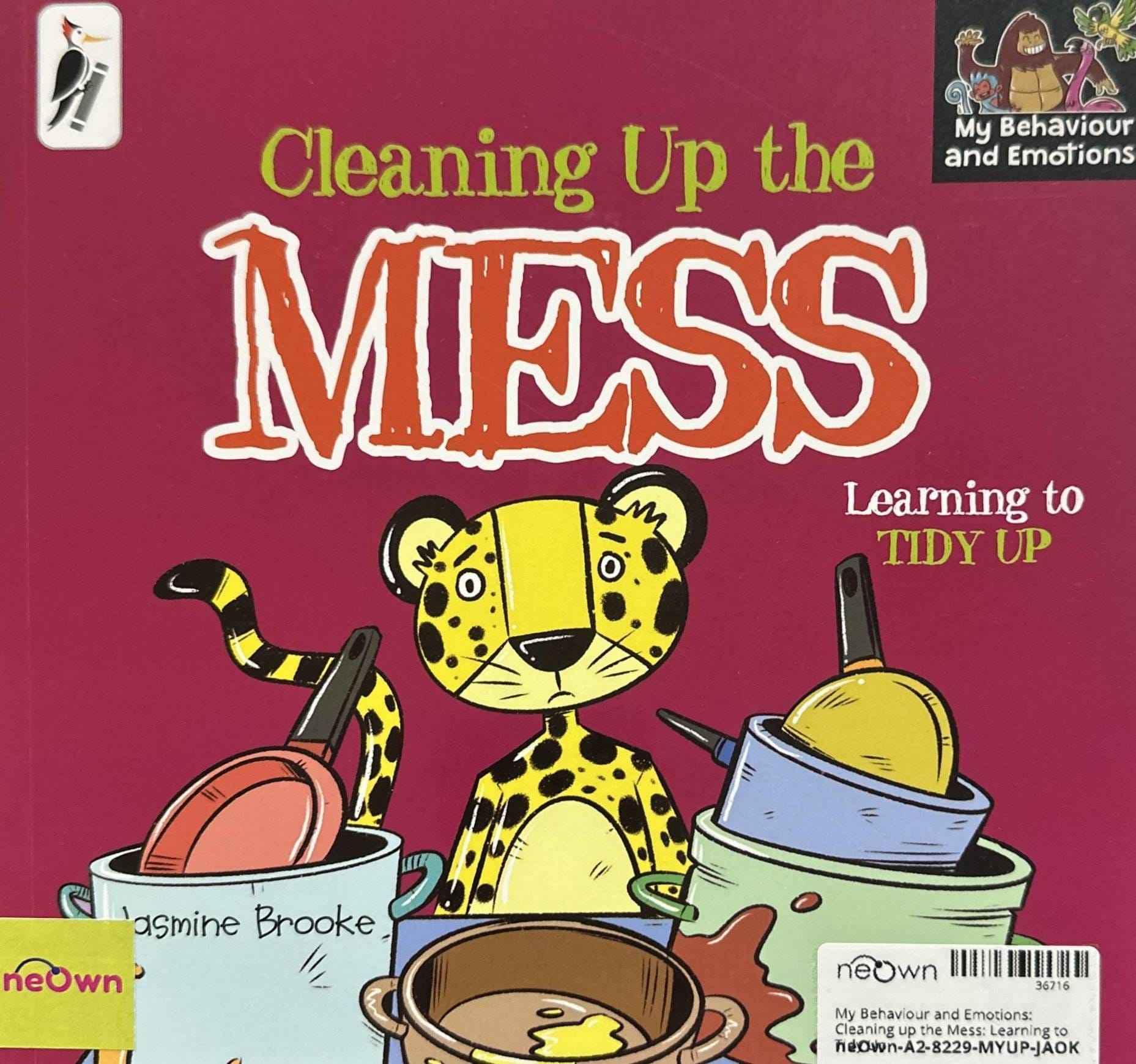 My Behaviour and Emotions: Cleaning up the Mess: Learning to Tidy Up