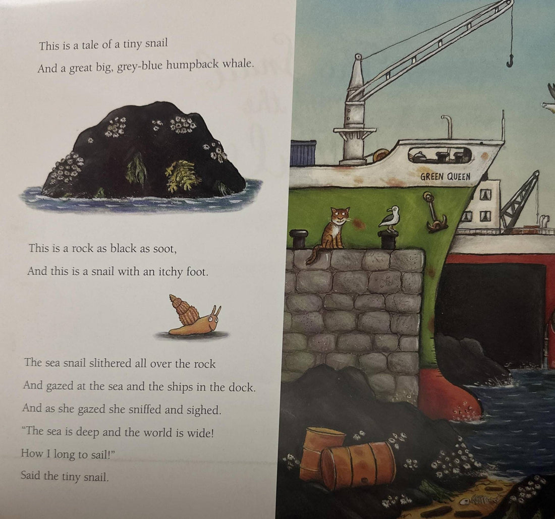 The Snail and the Whale (Paperback)