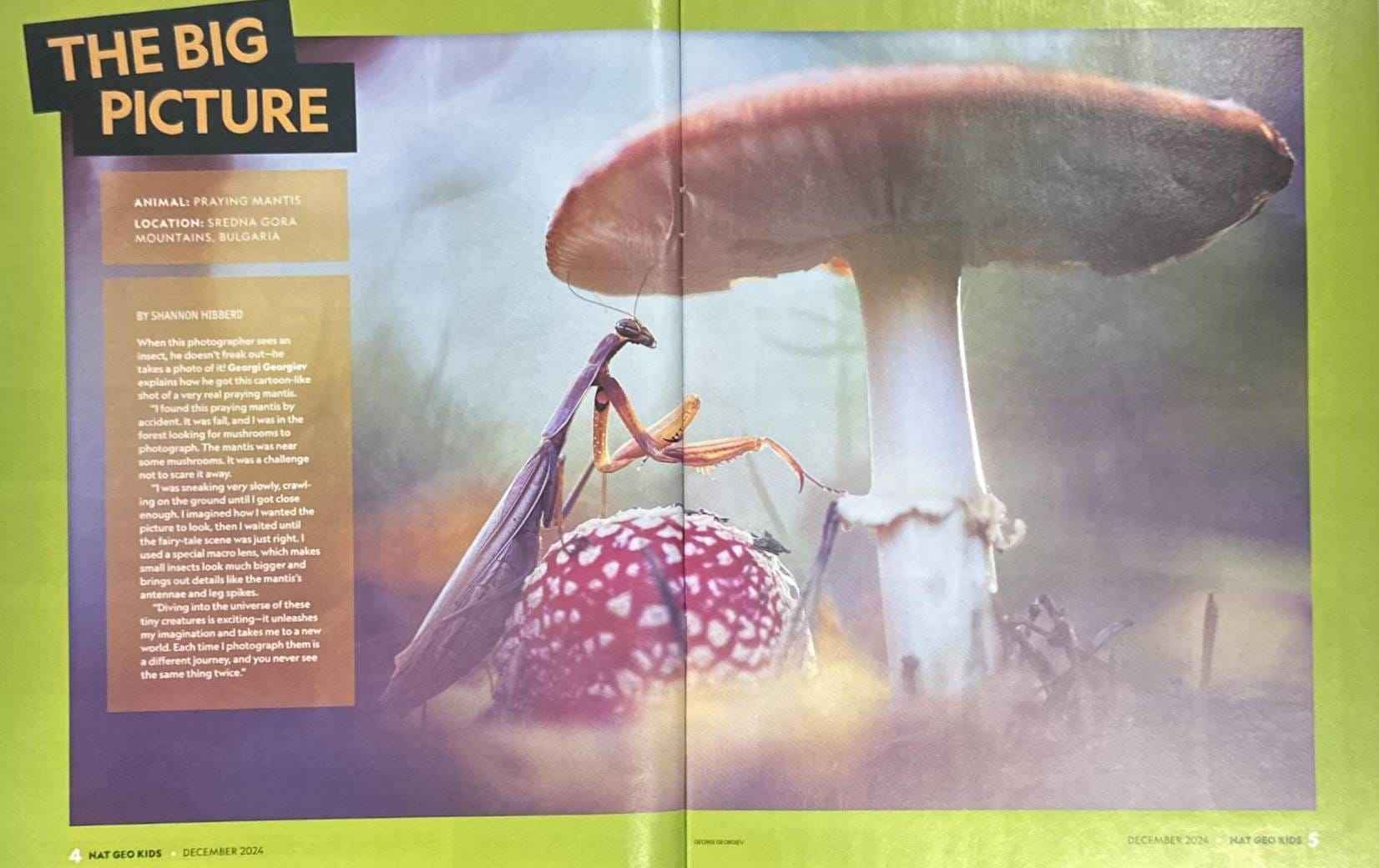 National Geographic Kids: Hunt Like a Fox
