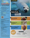 National Geographic Kids: Harp Seal Hangout