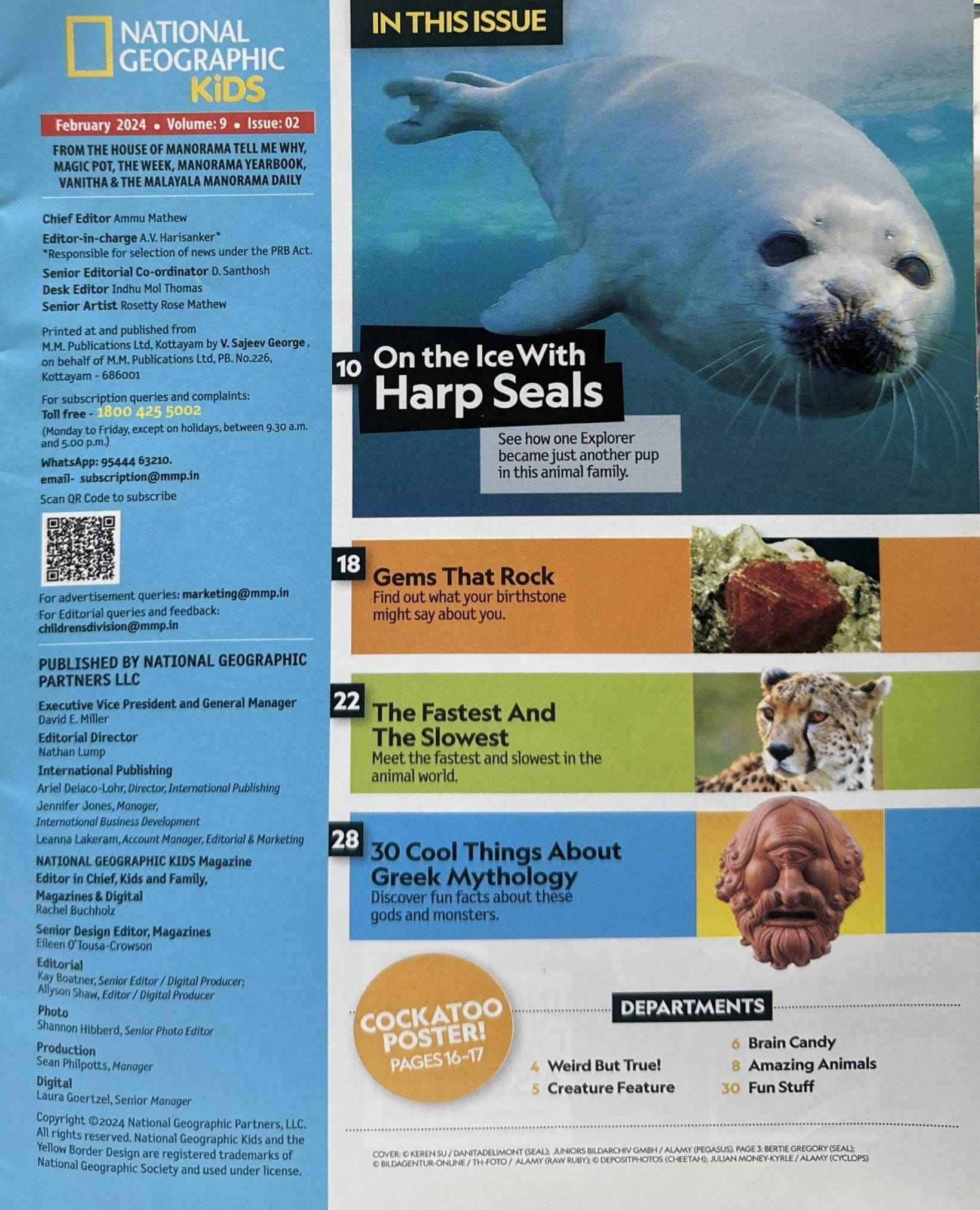 National Geographic Kids: Harp Seal Hangout