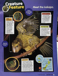 National Geographic Kids: Harp Seal Hangout