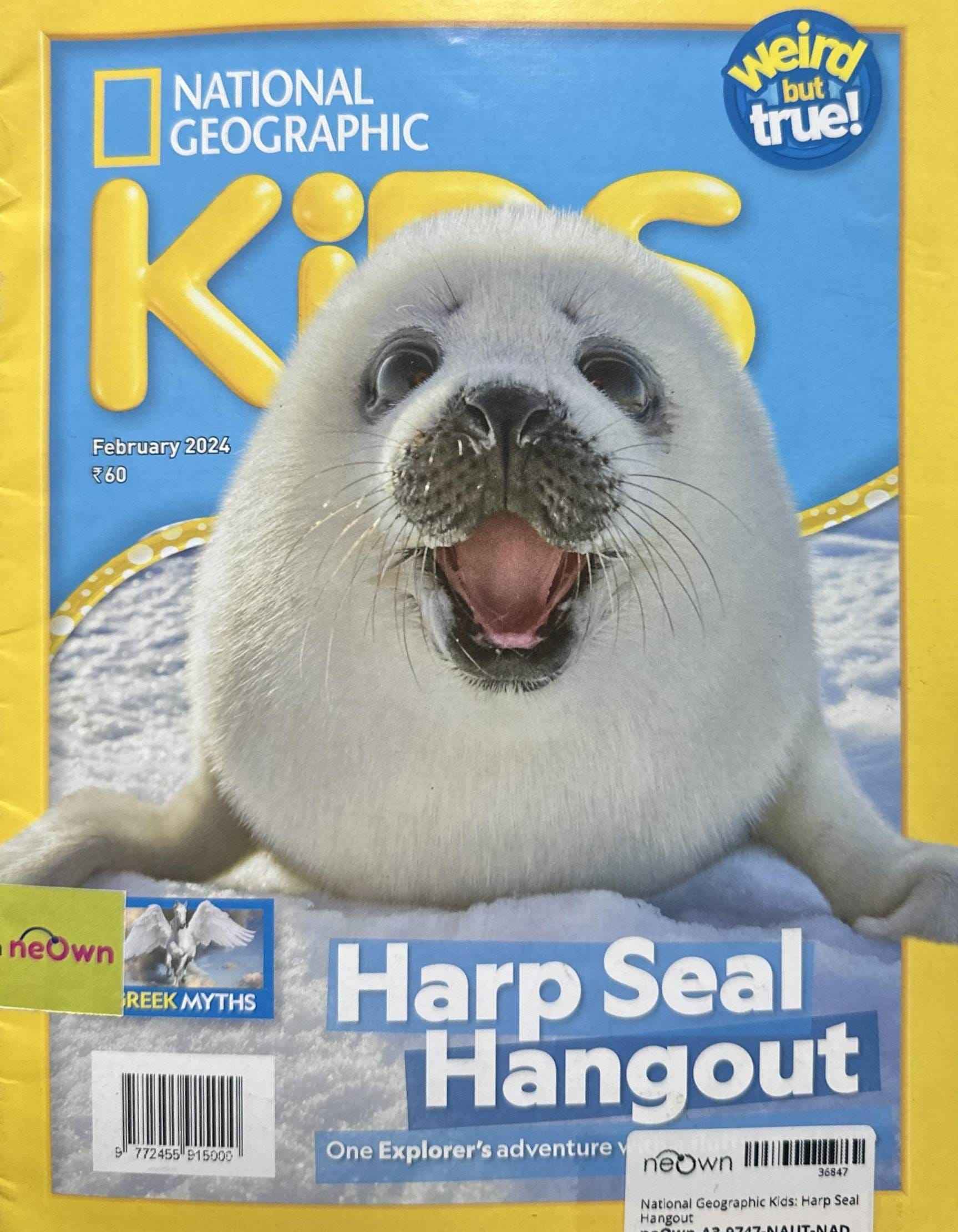 National Geographic Kids: Harp Seal Hangout