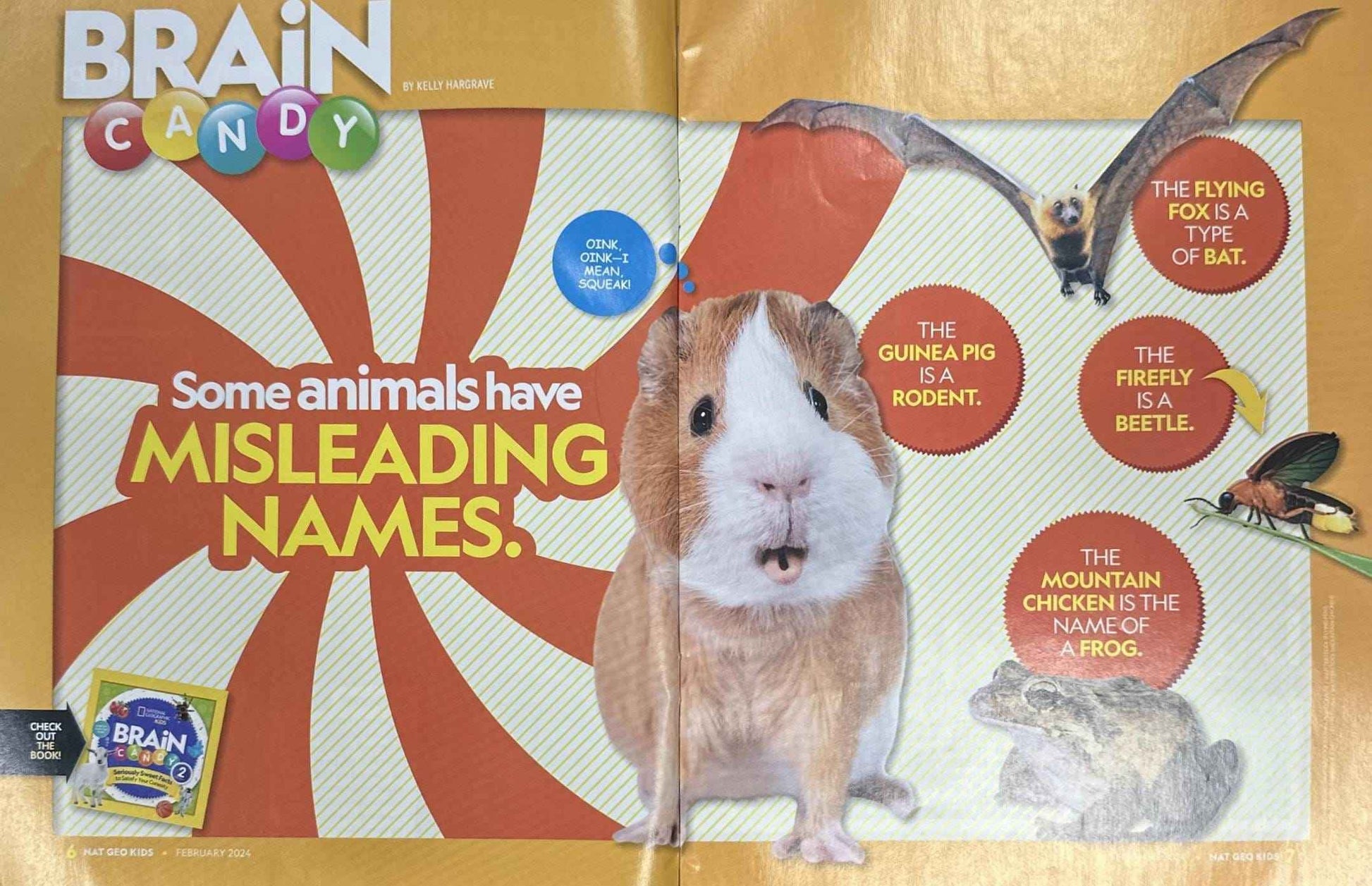 National Geographic Kids: Harp Seal Hangout