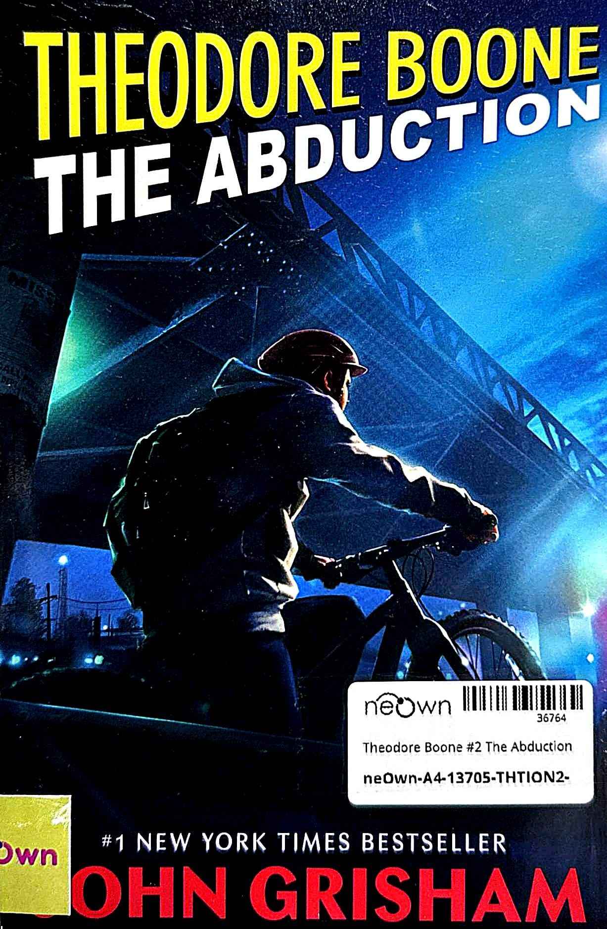 Theodore Boone #2 The Abduction