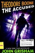 Theodore Boone #3 The Accused
