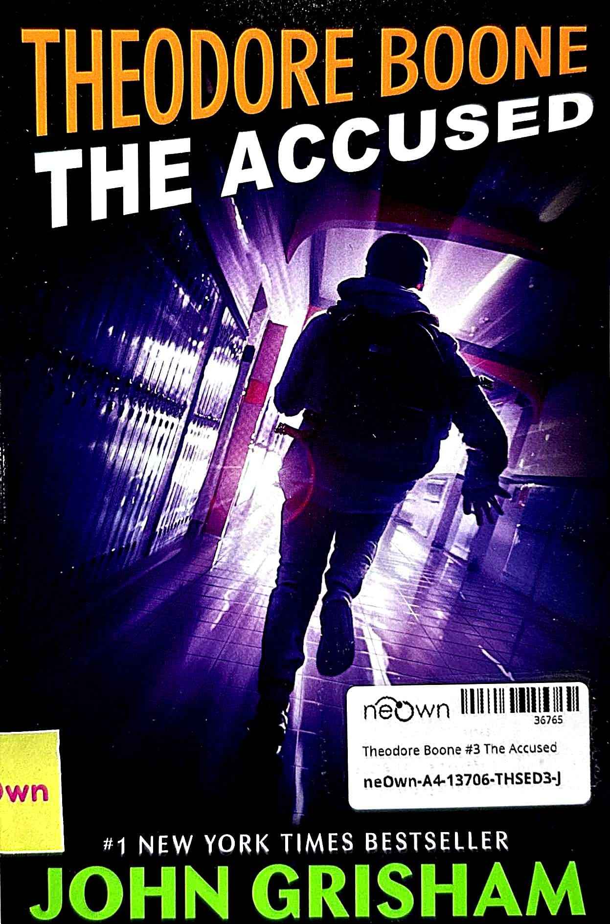 Theodore Boone #3 The Accused