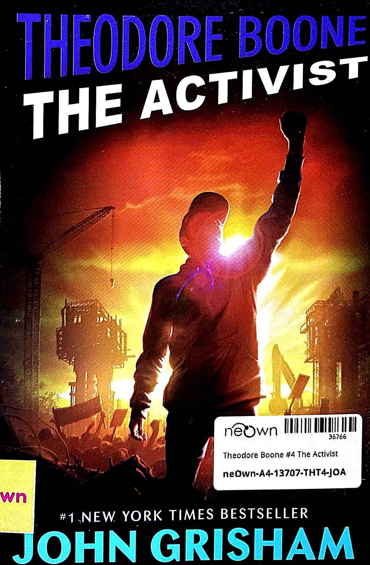 Theodore Boone #4 The Activist