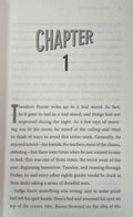 Theodore Boone #6 The Scandal