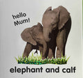 Baby Touch and Feel: Wild Animals (Baby Touch and Feel)