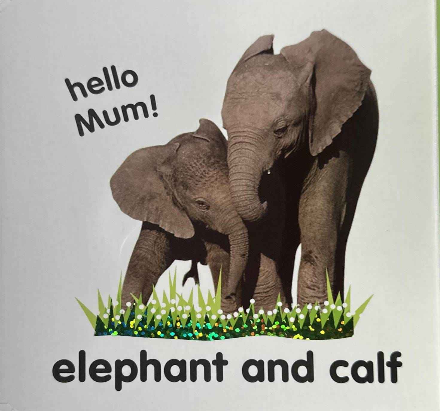Baby Touch and Feel: Wild Animals (Baby Touch and Feel)