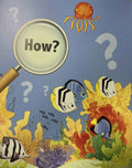 Amazing Questions & Answers: Seas & Oceans