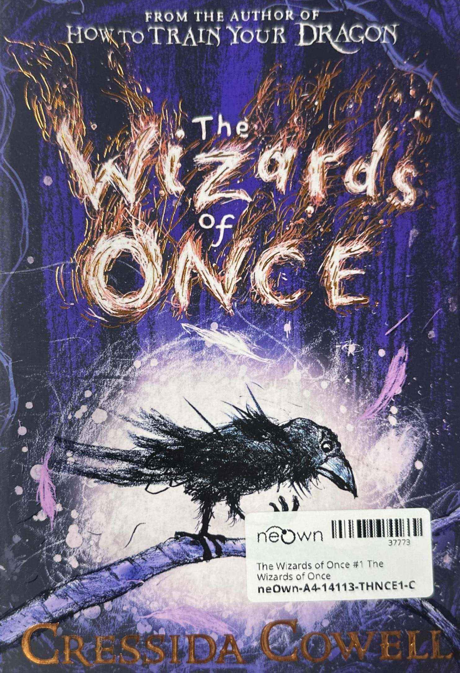 The Wizards of Once #1 The Wizards of Once