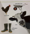 Let's Have A Look: What's That? At The Farm (Board Book)