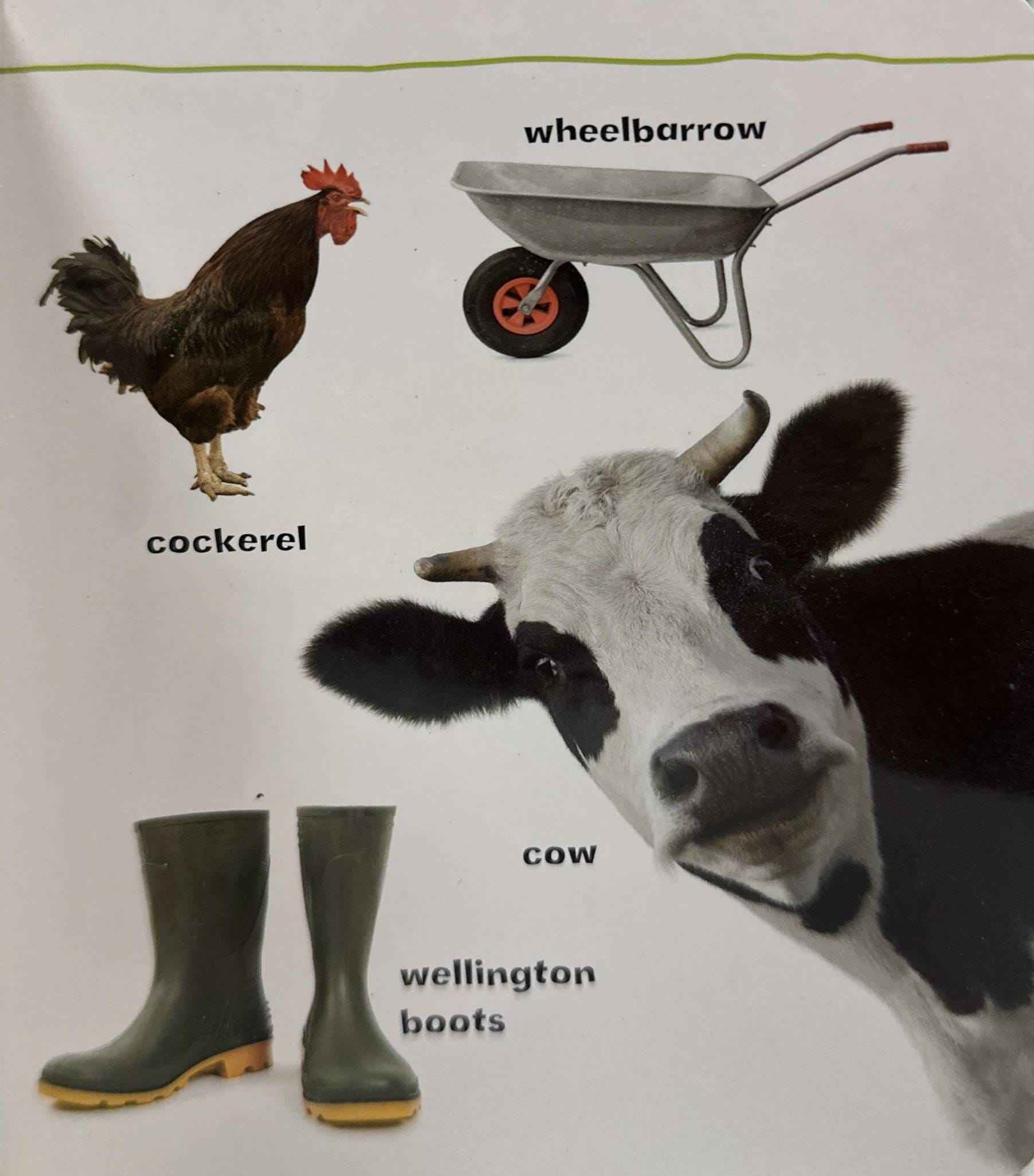 Let's Have A Look: What's That? At The Farm (Board Book)