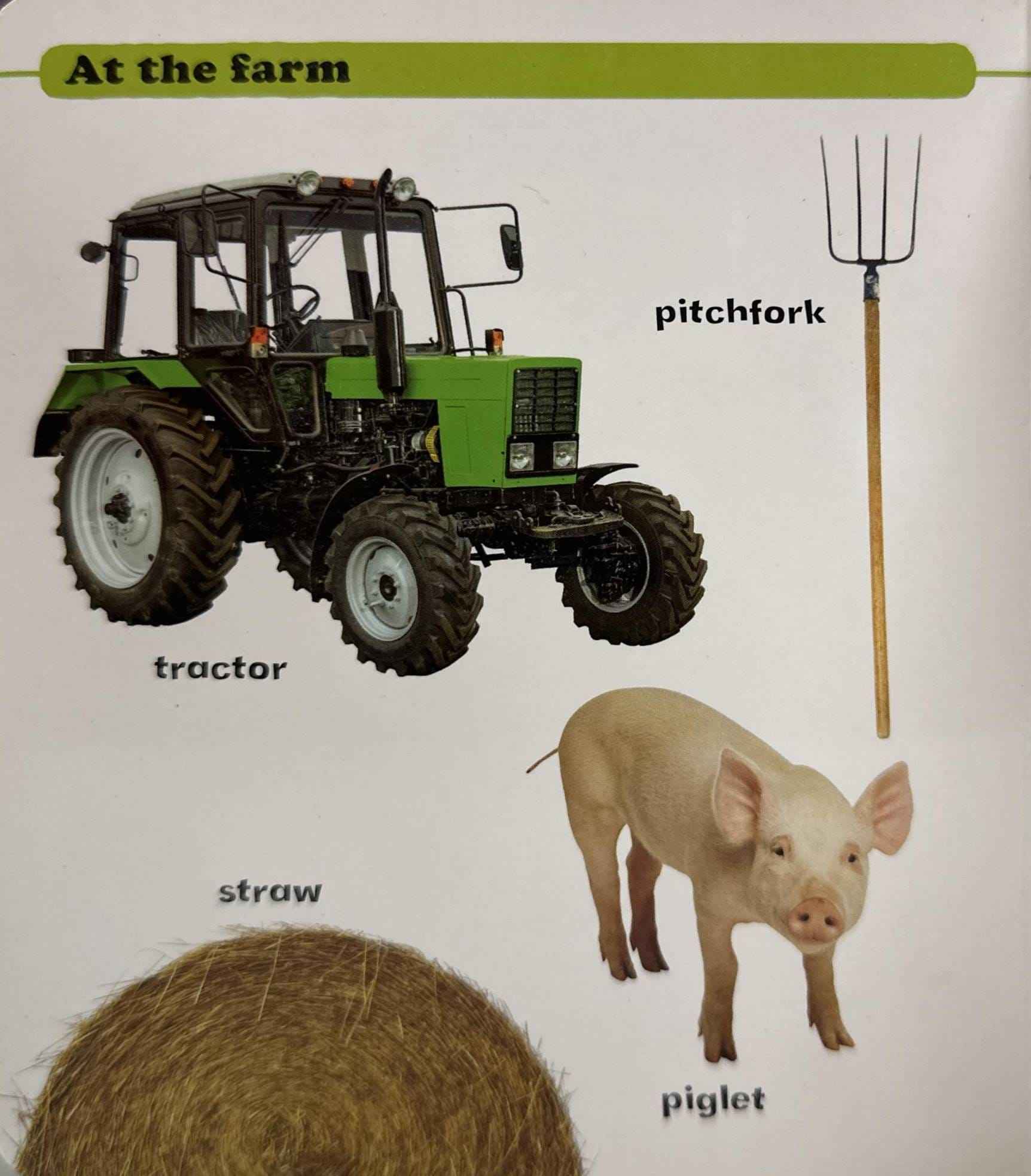 Let's Have A Look: What's That? At The Farm (Board Book)