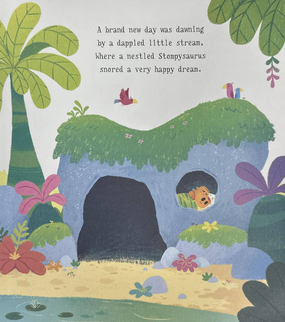The Stompysaurus (Paperback)