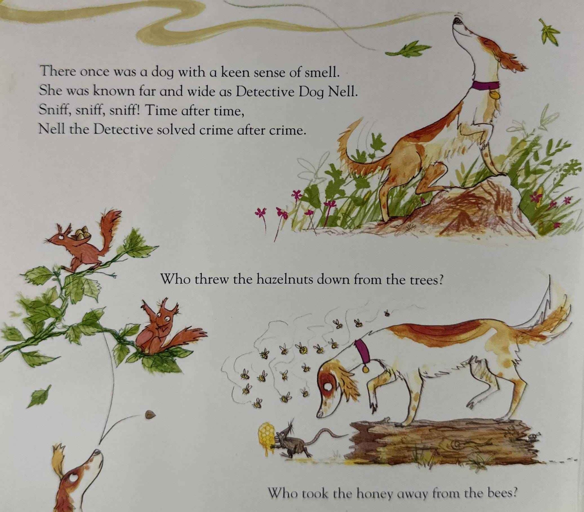 The Detective Dog (Board Book)