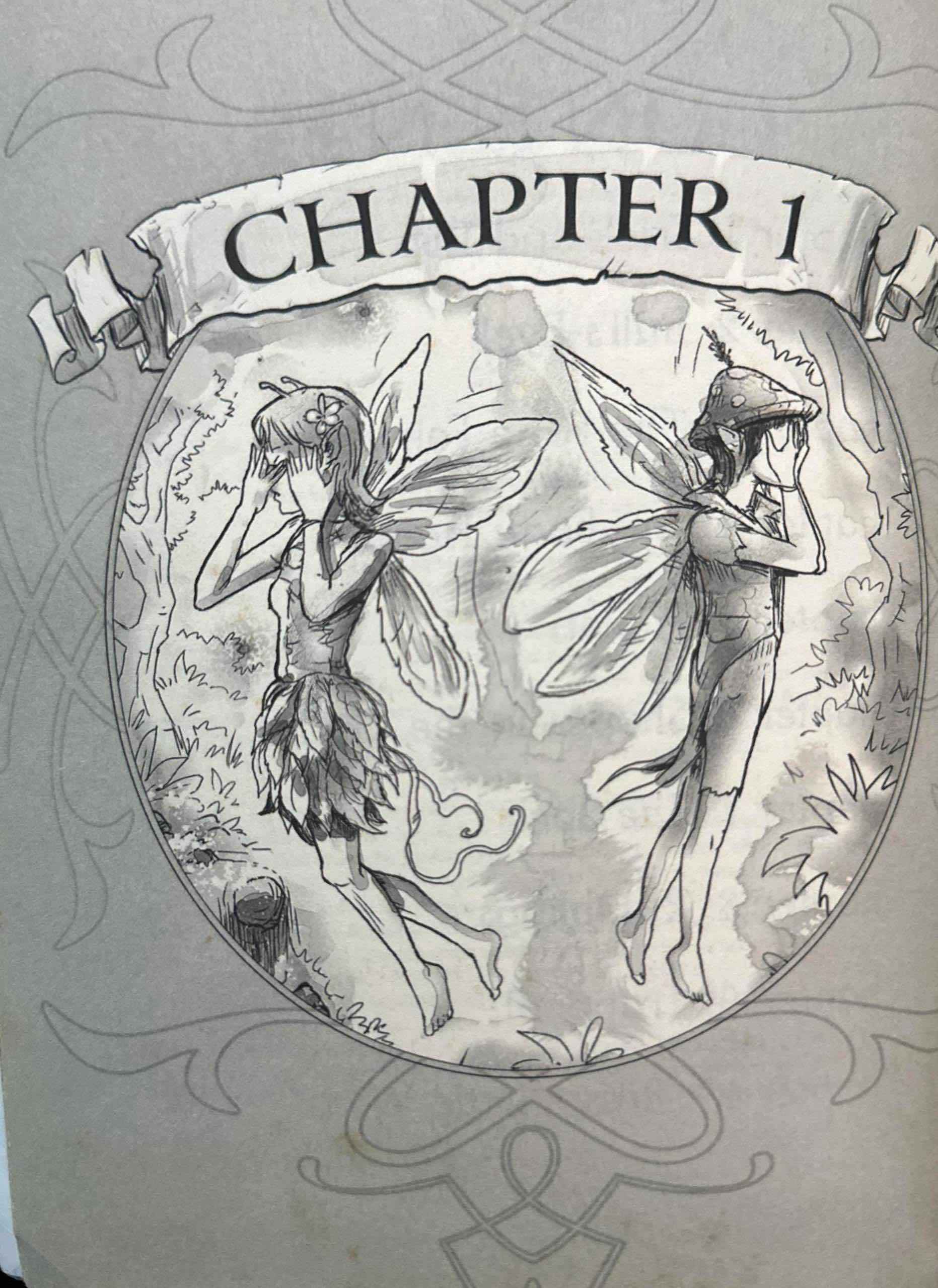 The Kingdom of Wrenly #11 The False Fairy