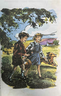The Secret Seven #16 The Secret Seven Short Story Collection