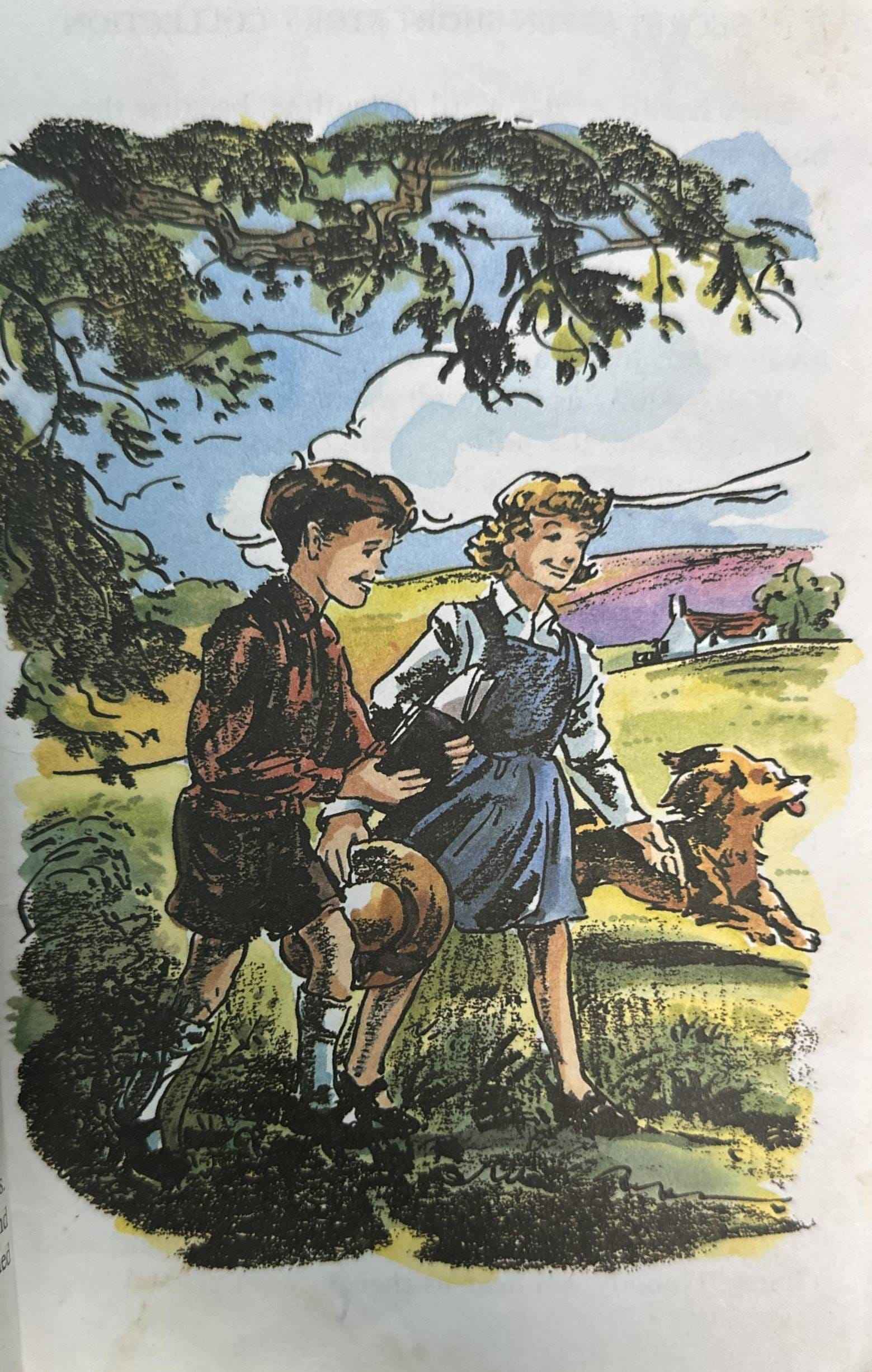 The Secret Seven #16 The Secret Seven Short Story Collection