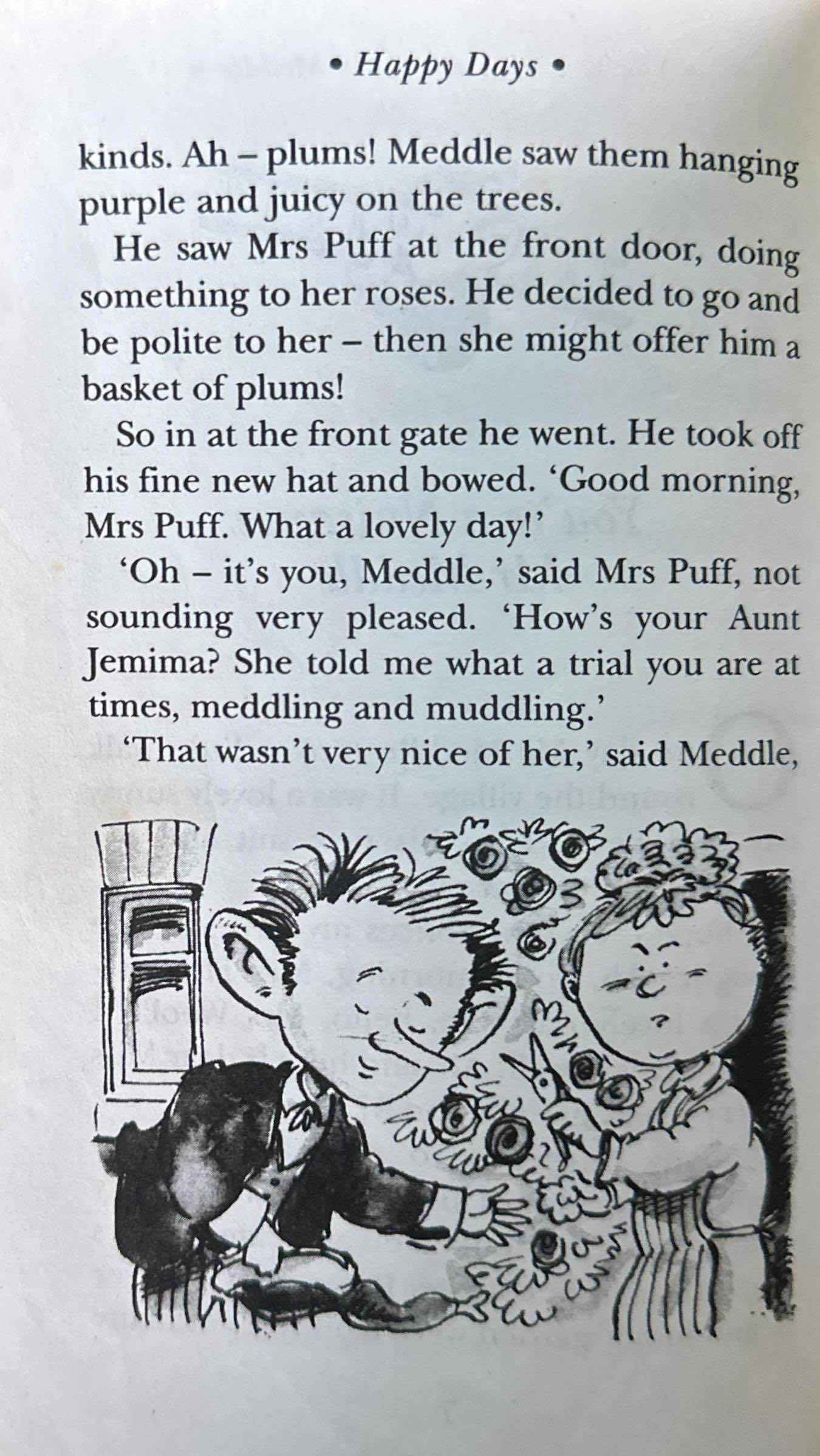 Happy Days: You're a Nuisance Mister Meddle