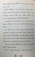 Candy Fairies #10 Jelly Bean Jumble