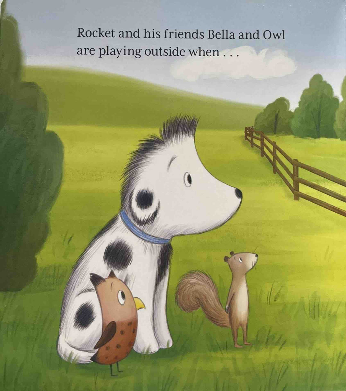 Rocket and Friends: Rocket's Puppy Friends (Board Book)