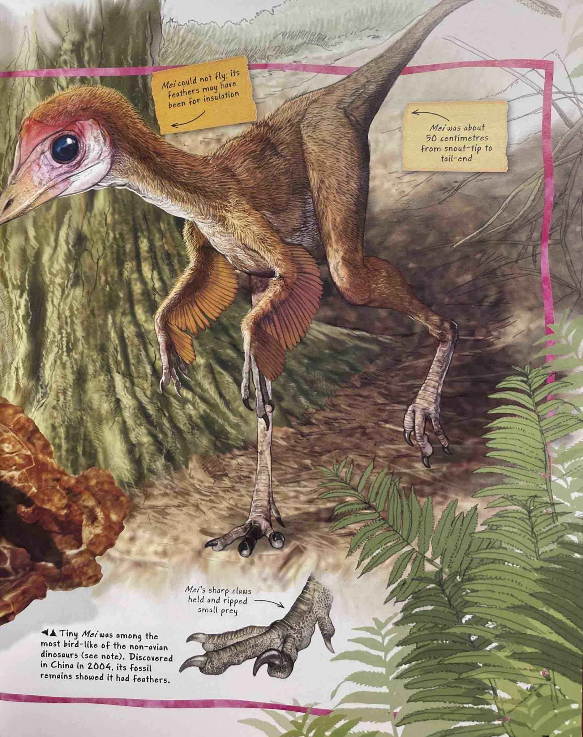 100 Facts: Dinosaur Science