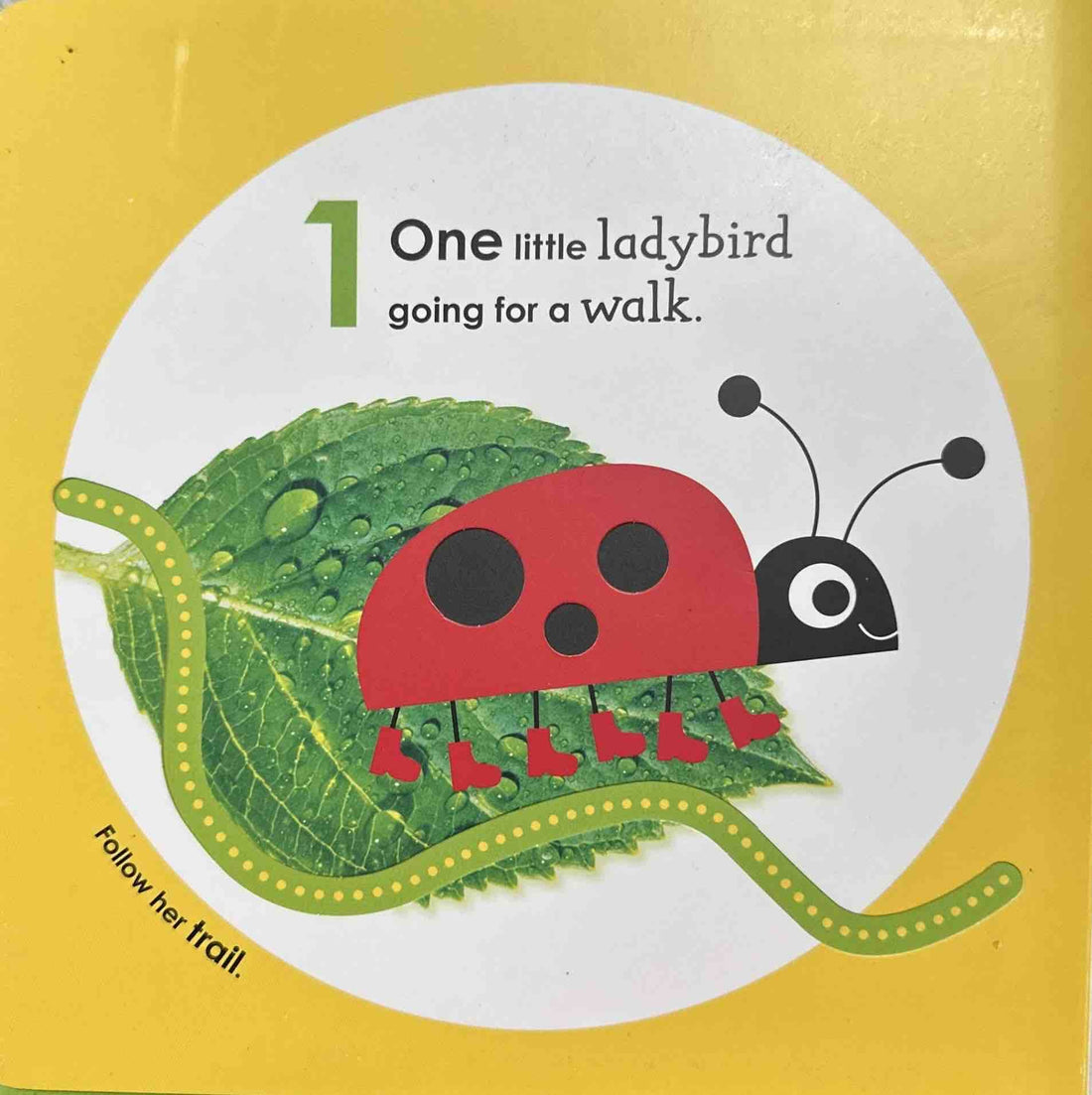 Counting with a Ladybird