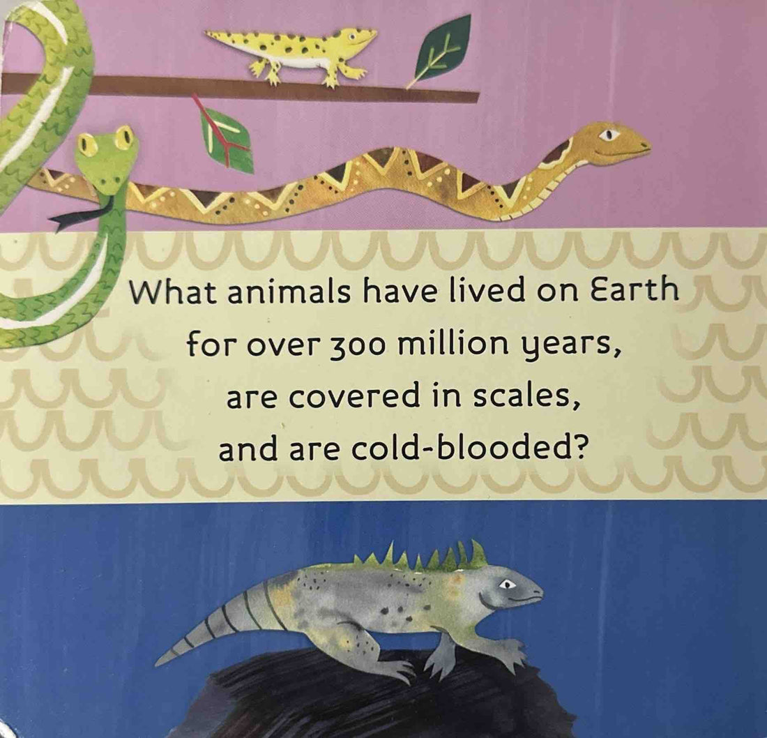 Hello, World!: Reptiles (Hello, World!)