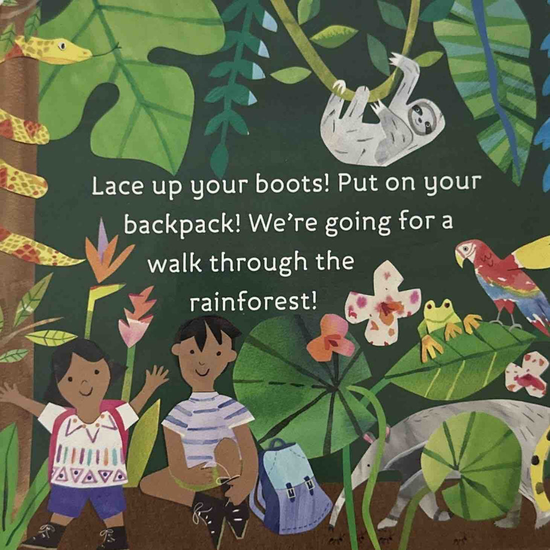 Hello, World!: Rainforest Animals (Hello, World!)