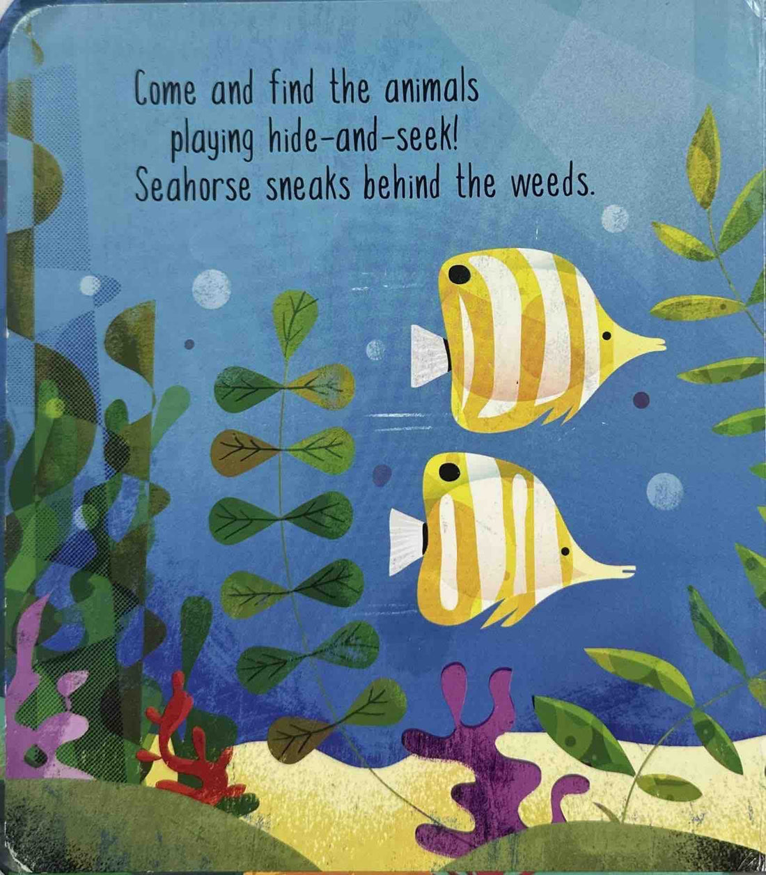 Hide and Seek Under the Sea (Lift-the-Flap Book)