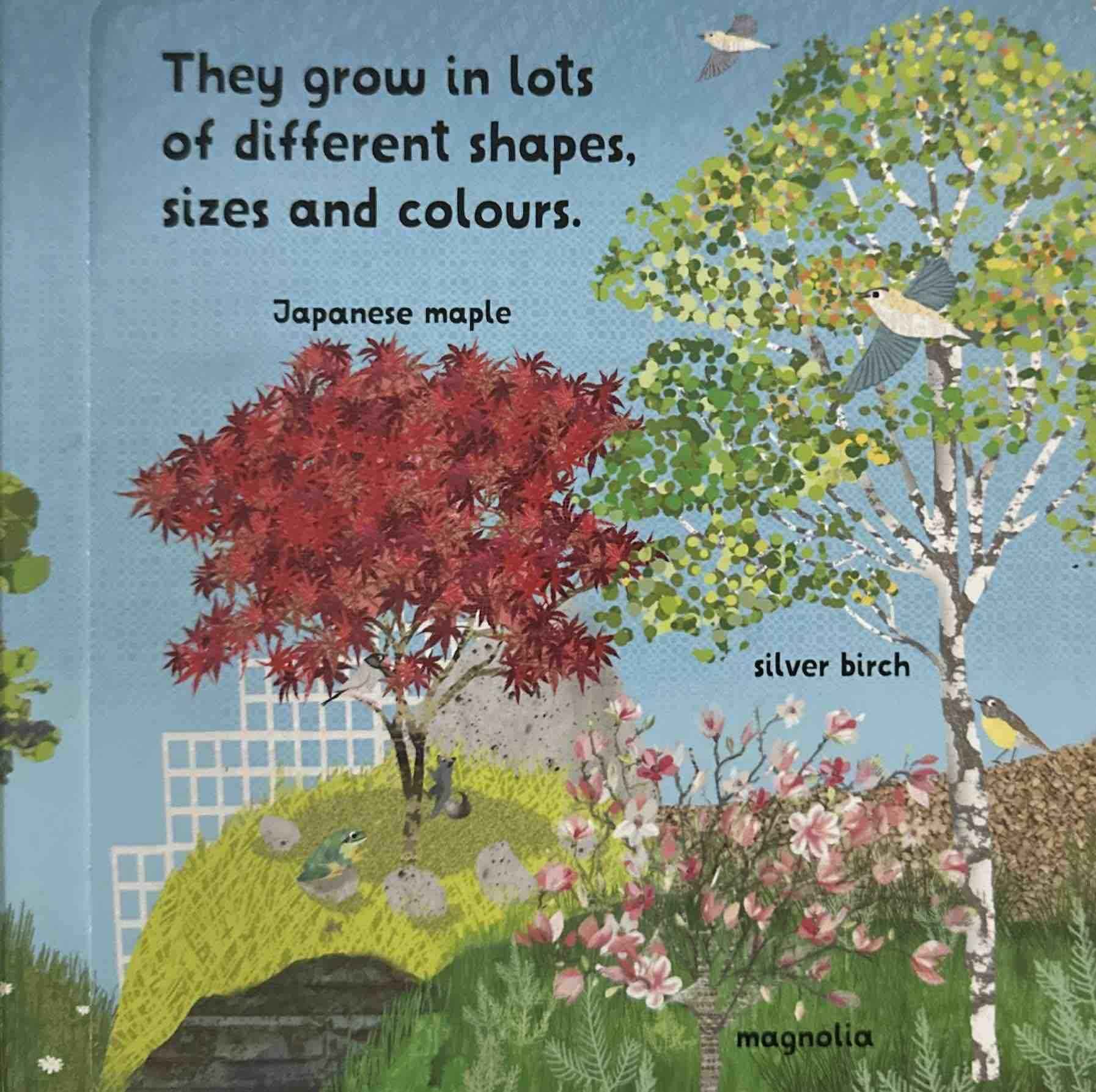 Lift and Look Trees (Board Book)