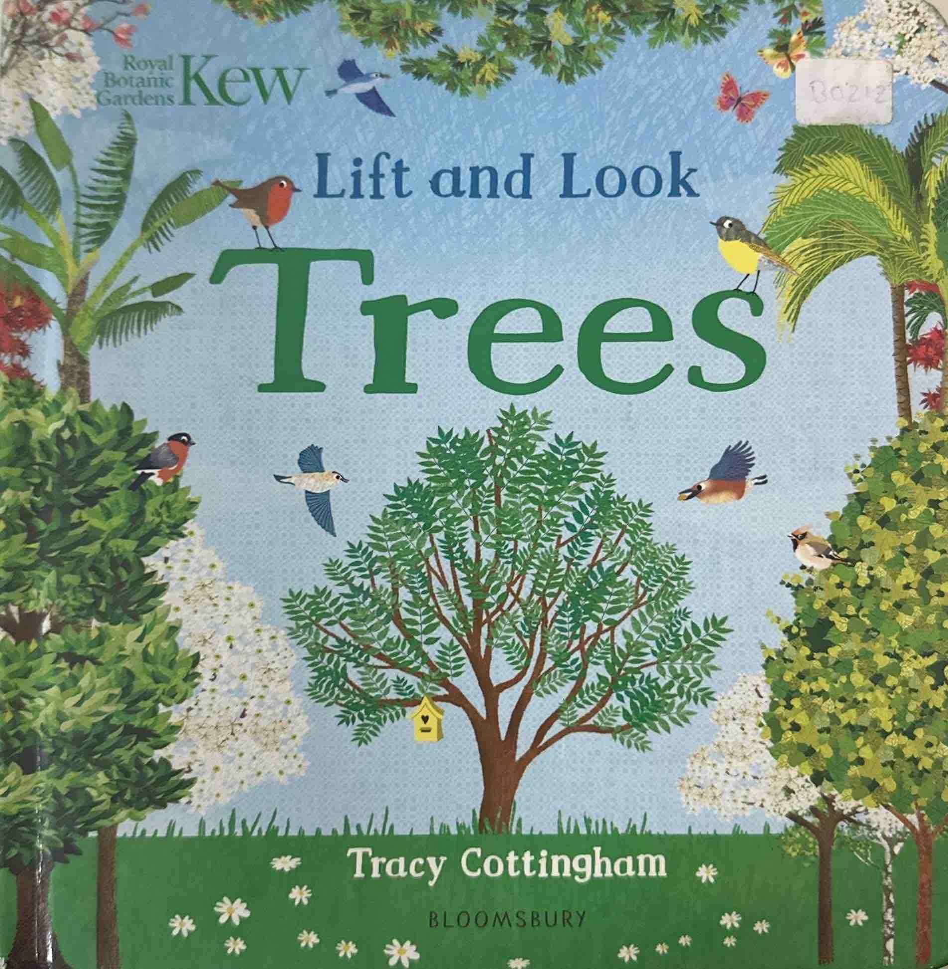 Lift and Look Trees (Board Book)