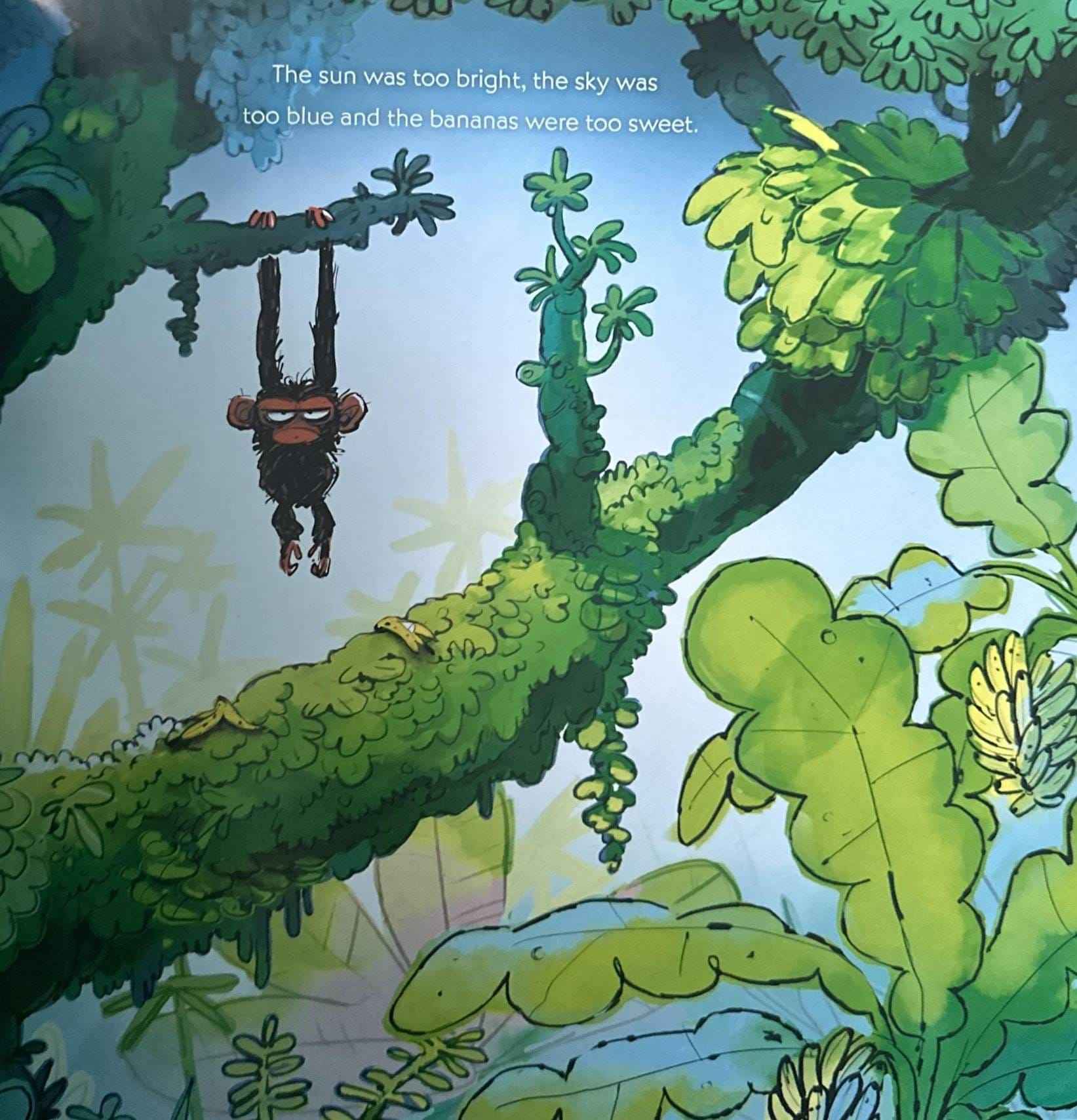 Grumpy Monkey #1 Grumpy Monkey (Paperback)