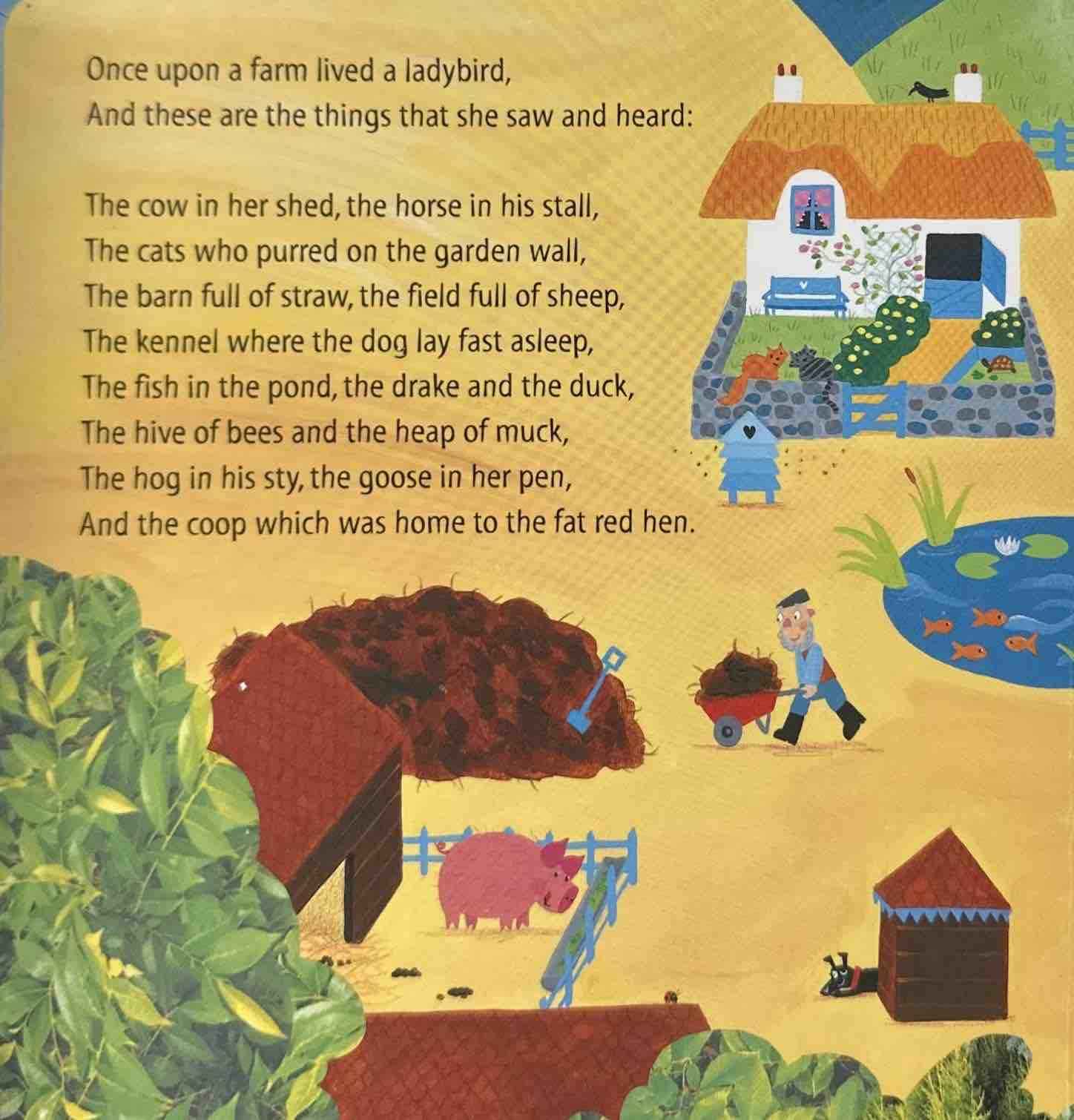 What the Ladybird Heard: What the Ladybird Heard Next (Board Book)