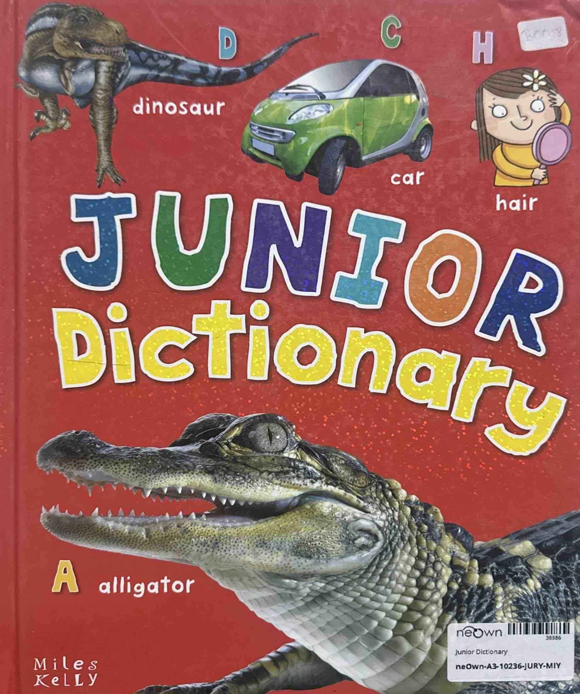 Junior Dictionary