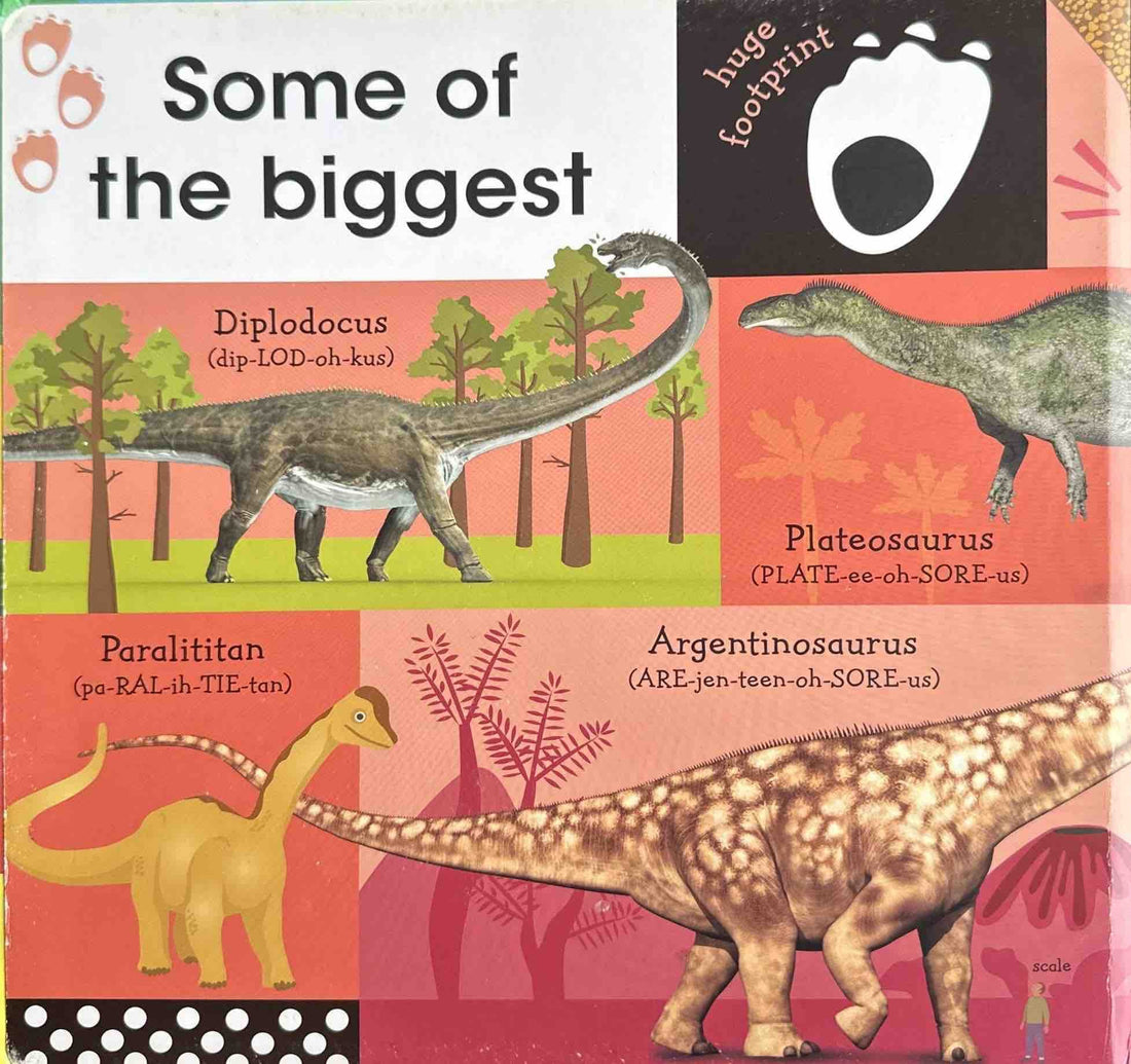 100 First: 100 First Dinosaur Words (Board Book)