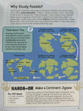 Hands-on Geology: Get Hands-on With Fossils!