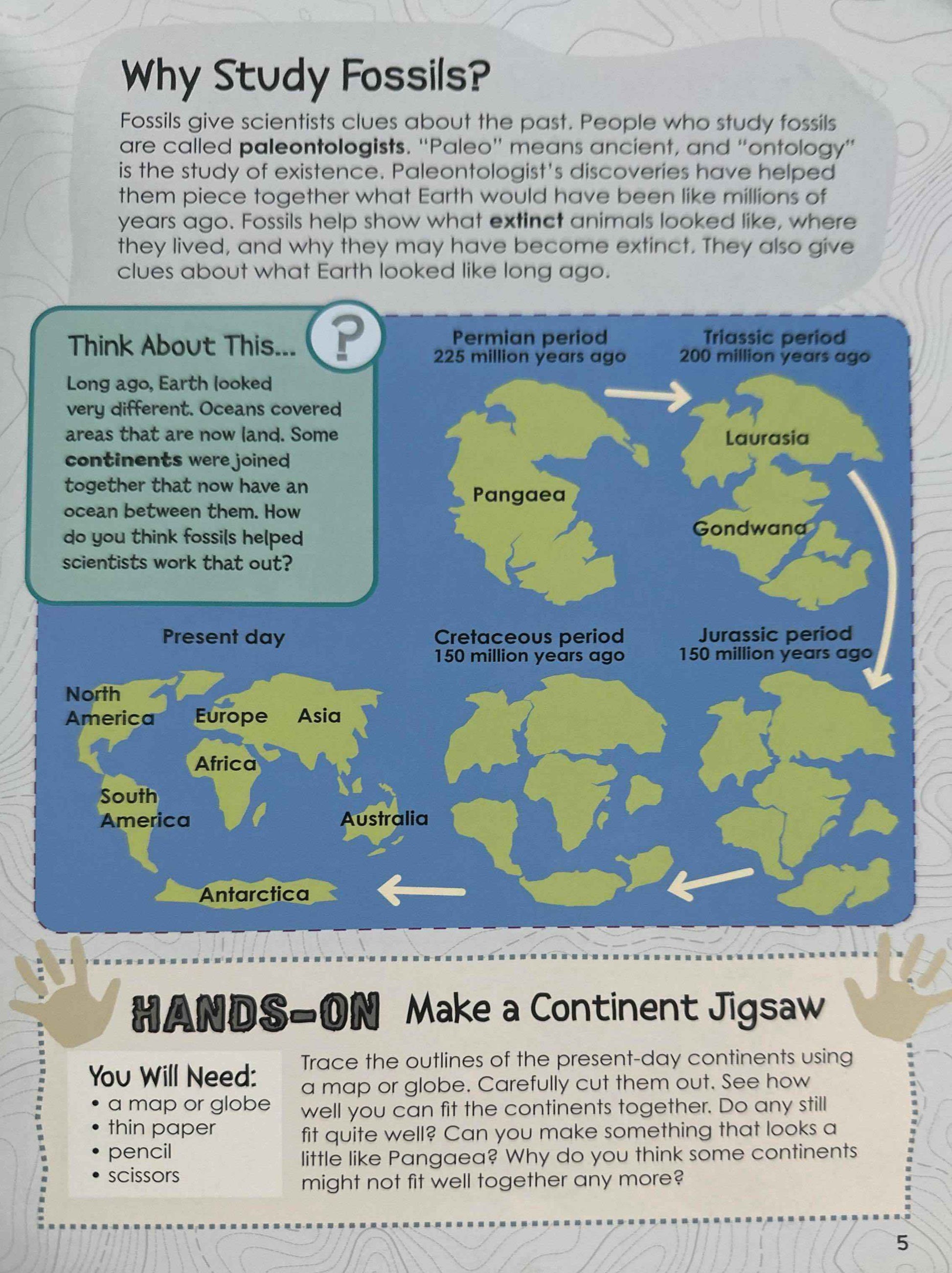 Hands-on Geology: Get Hands-on With Fossils!