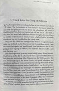 Adventures of Tom and Huck #2 Huckleberry Finn (Sunbird Readers)