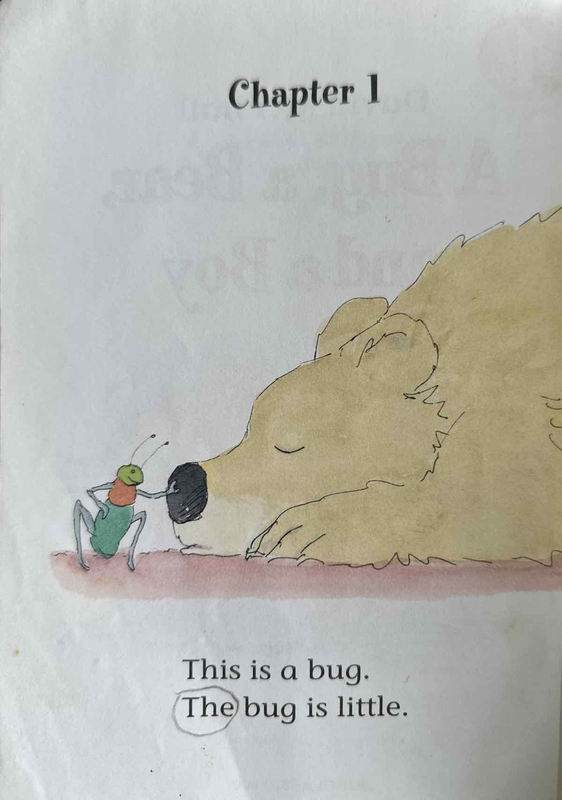Scholastic Reader Level 1: A Bug, a Bear, and a Boy
