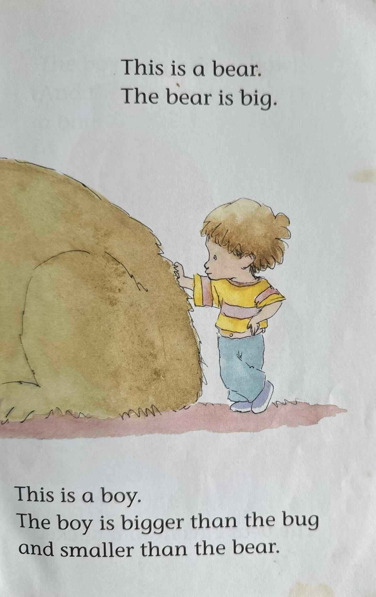 Scholastic Reader Level 1: A Bug, a Bear, and a Boy