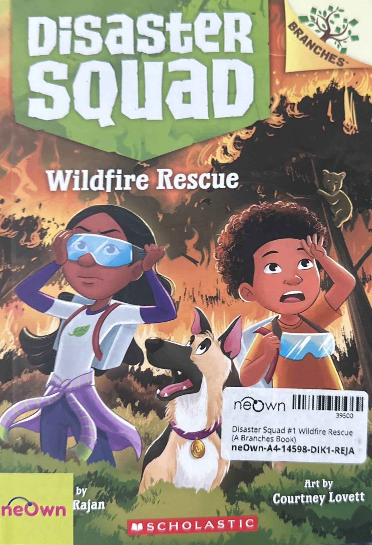Disaster Squad #1 Wildfire Rescue (A Branches Book)