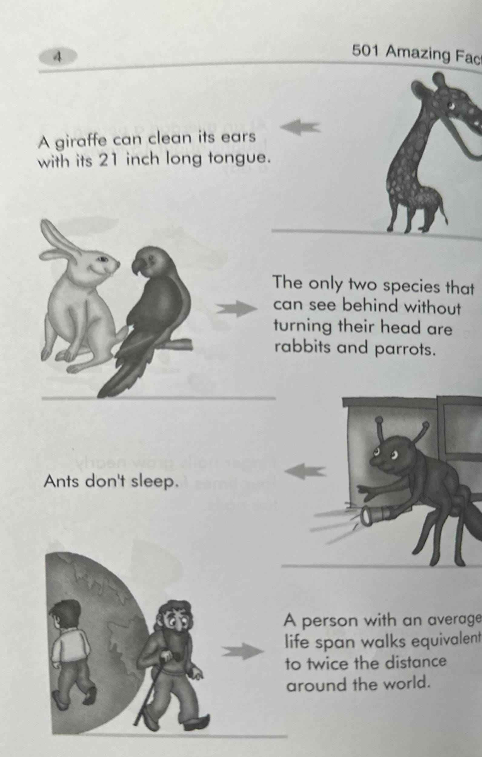 501 Amazing Facts