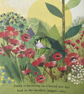 Peek-Through Nature: Bee (Nature's Tiny Miracle) (Paperback)